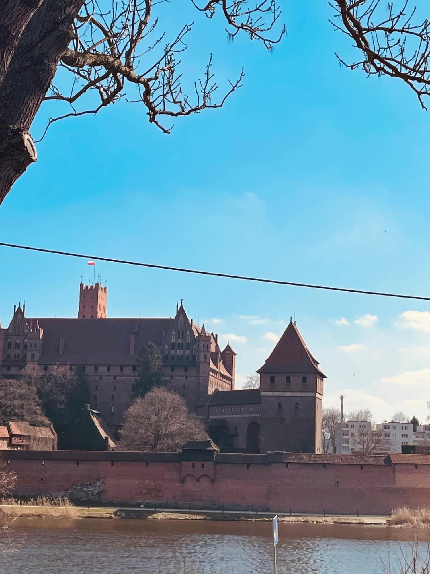 B&B Vis A Vis Zamku Malbork Buitenkant foto